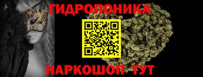 шишки Беслан