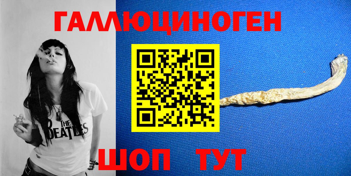 Галлюциногенные грибы Magic Shrooms Калининград