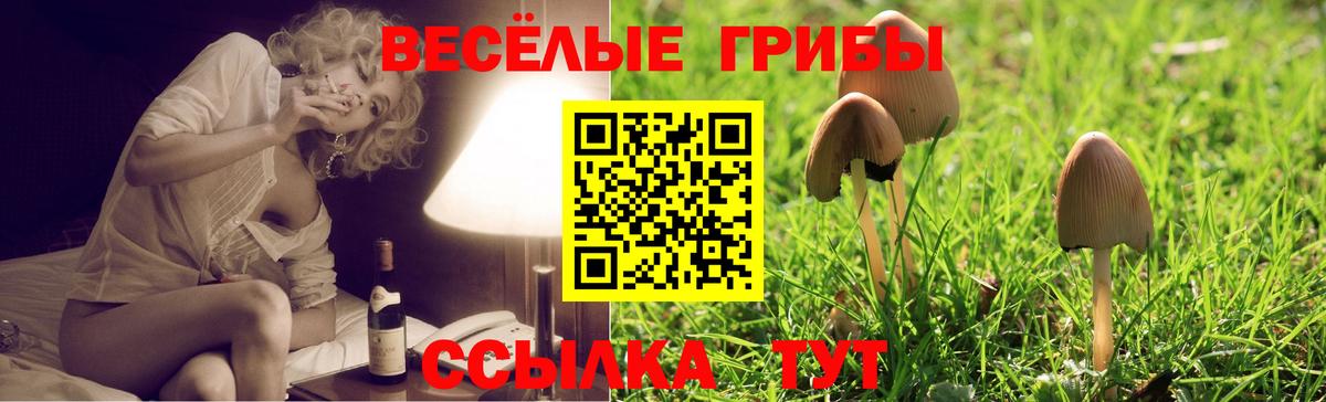 Галлюциногенные грибы мухоморы  Вход с VPN  даркнет сайт  Калининград 